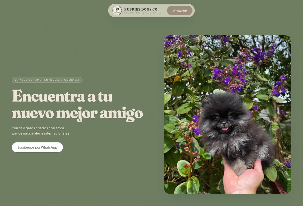 Puppies Dogs, catálogo de mascotas en Medellín